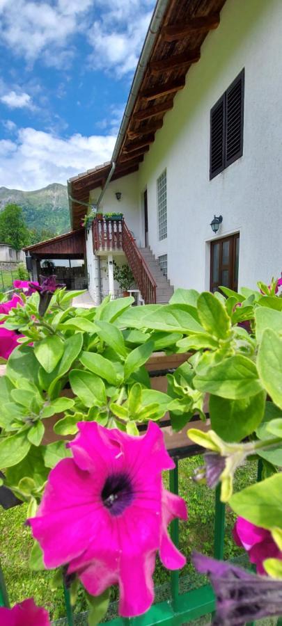 Apartma Pr' Ivani Miskorinovi Breginj エクステリア 写真