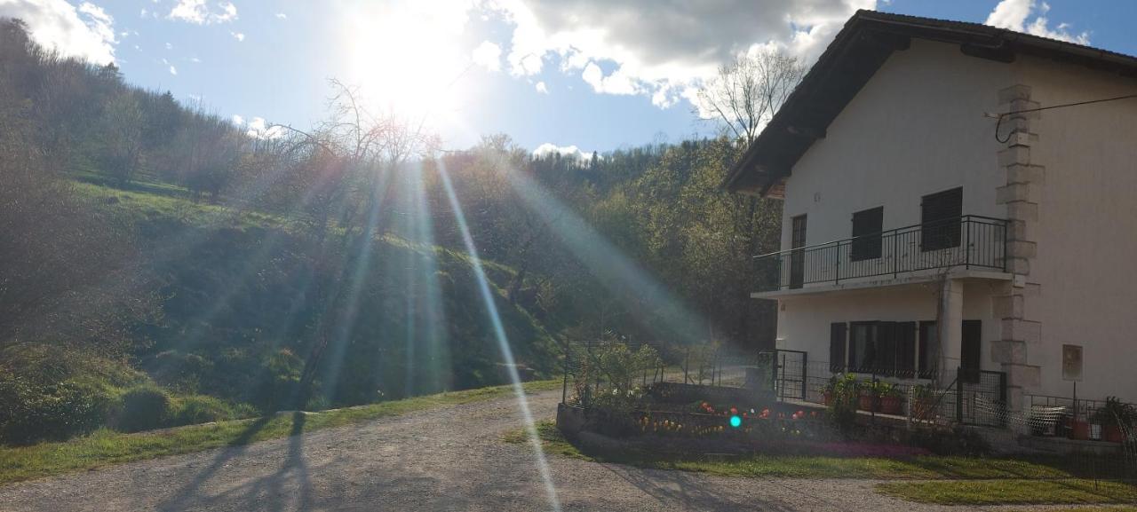 Apartma Pr' Ivani Miskorinovi Breginj エクステリア 写真