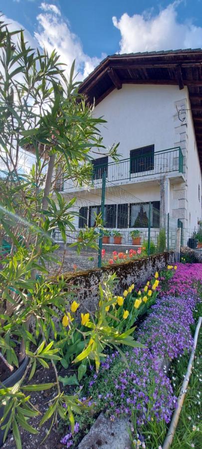 Apartma Pr' Ivani Miskorinovi Breginj エクステリア 写真
