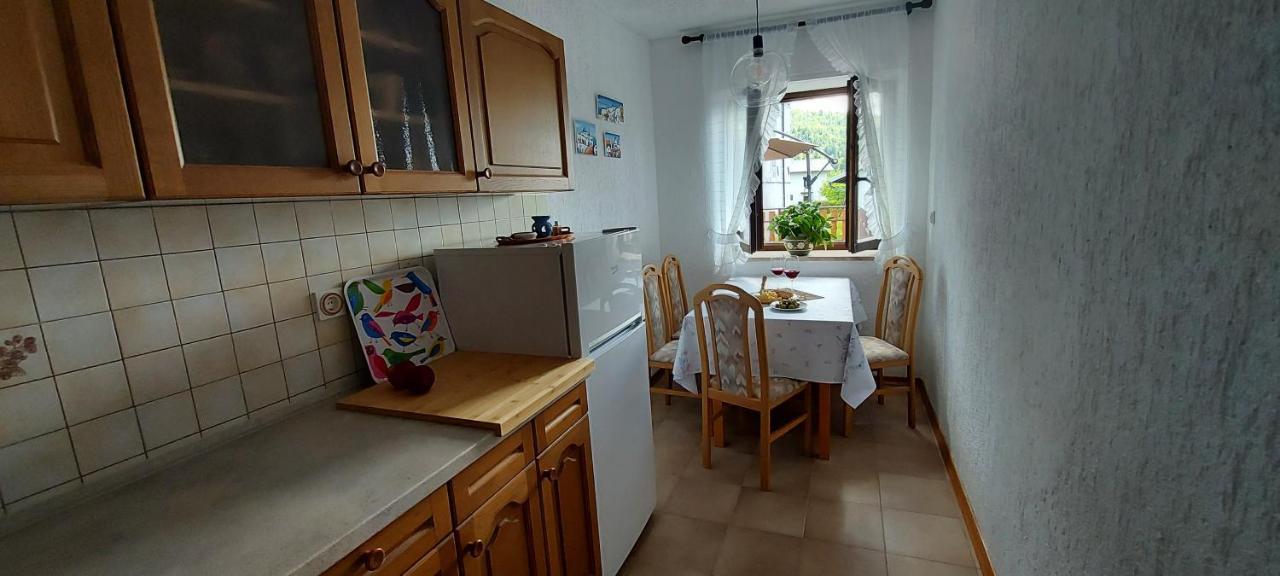 Apartma Pr' Ivani Miskorinovi Breginj エクステリア 写真