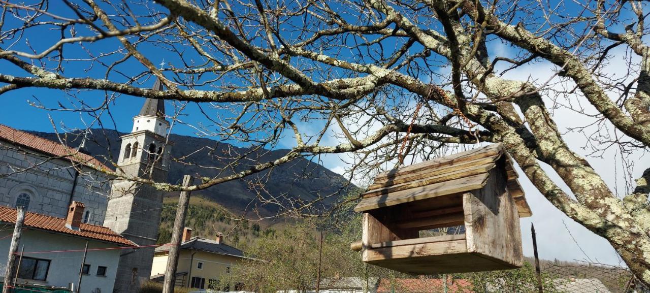 Apartma Pr' Ivani Miskorinovi Breginj エクステリア 写真