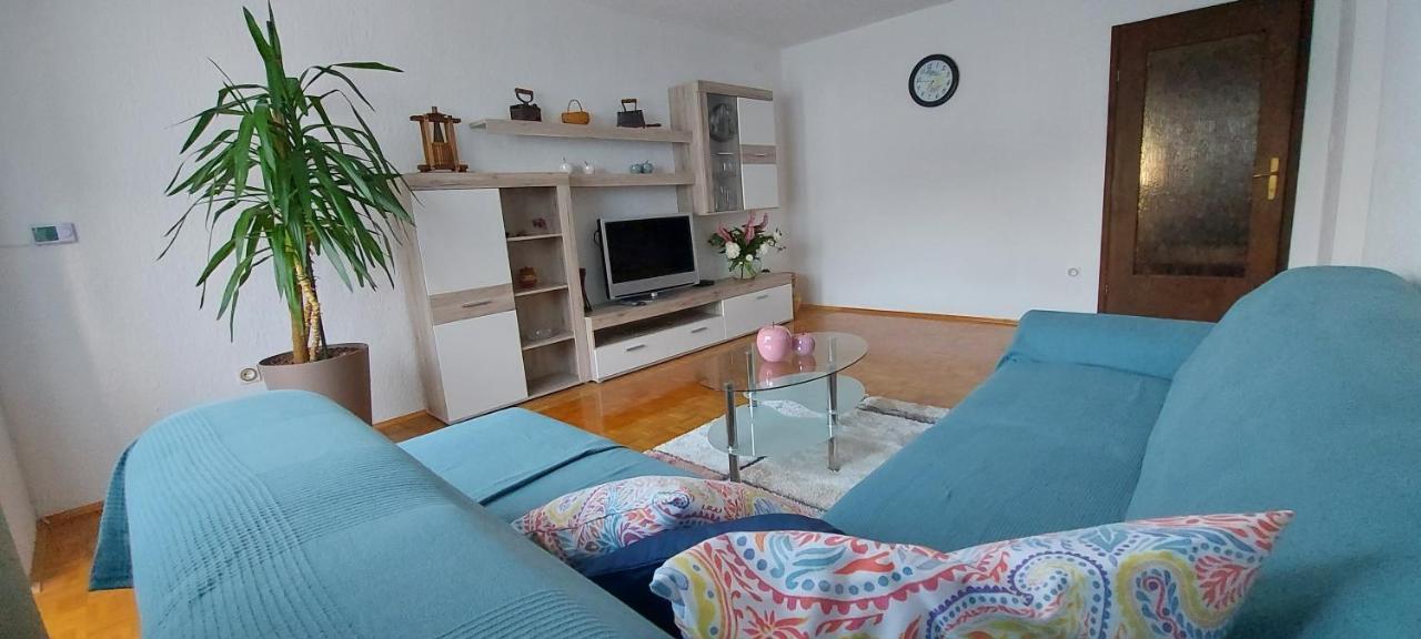 Apartma Pr' Ivani Miskorinovi Breginj エクステリア 写真