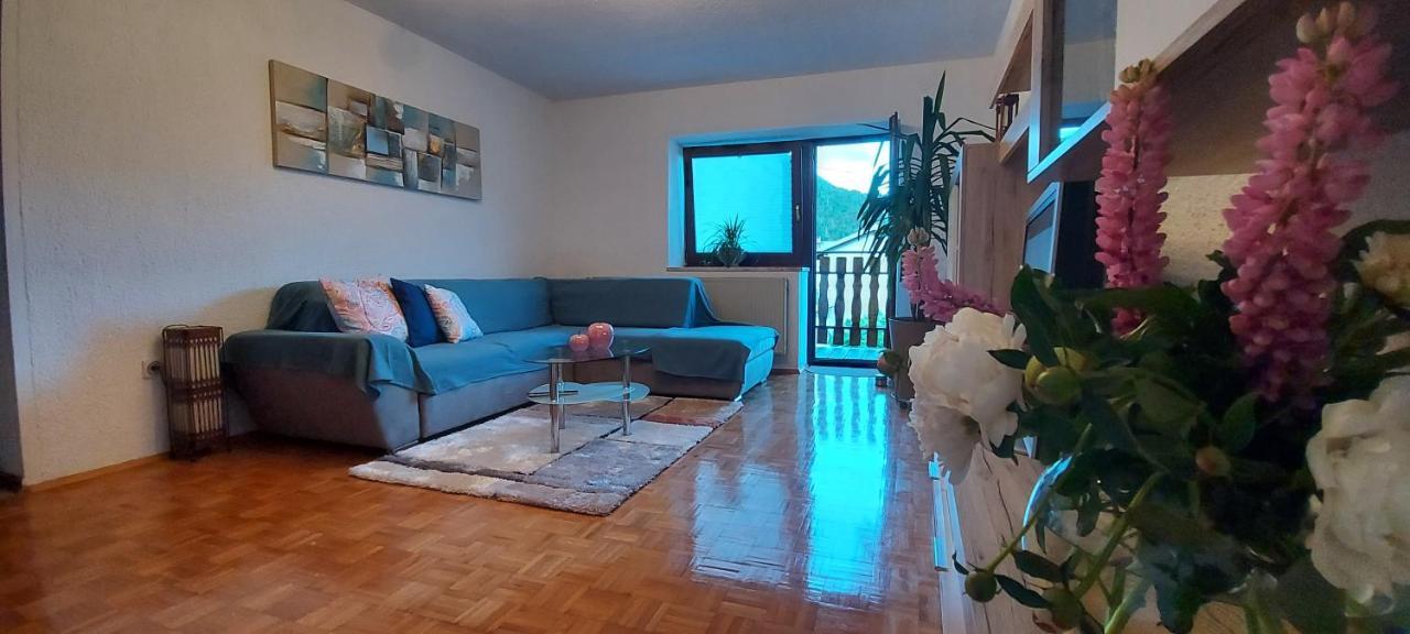 Apartma Pr' Ivani Miskorinovi Breginj エクステリア 写真