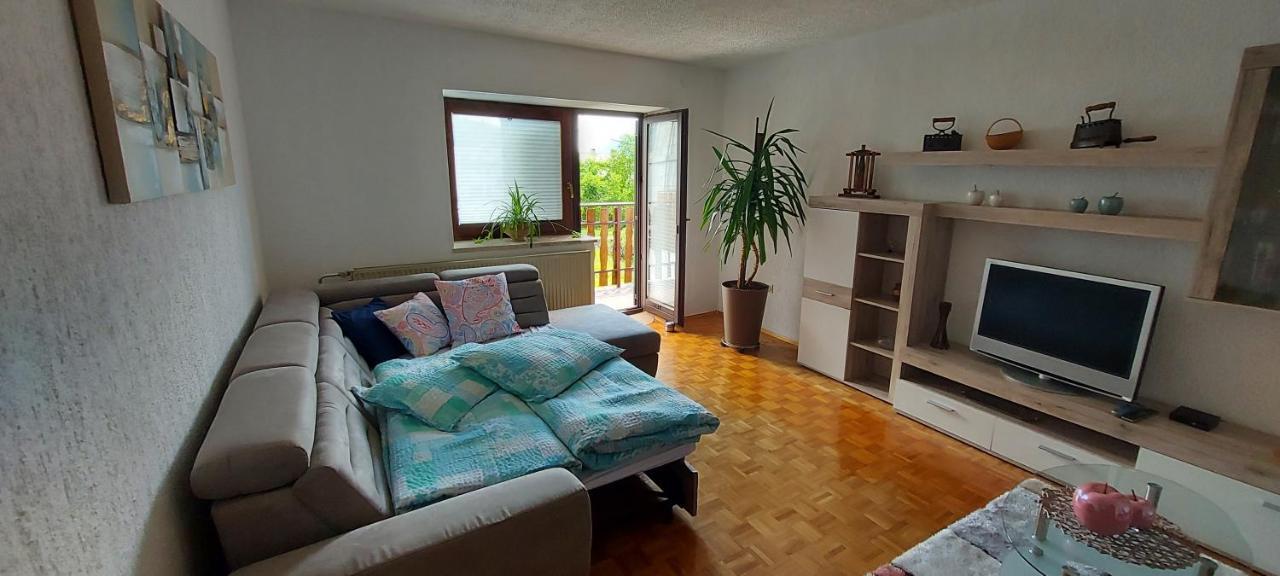 Apartma Pr' Ivani Miskorinovi Breginj エクステリア 写真