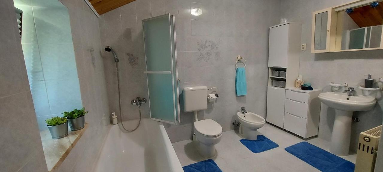 Apartma Pr' Ivani Miskorinovi Breginj エクステリア 写真