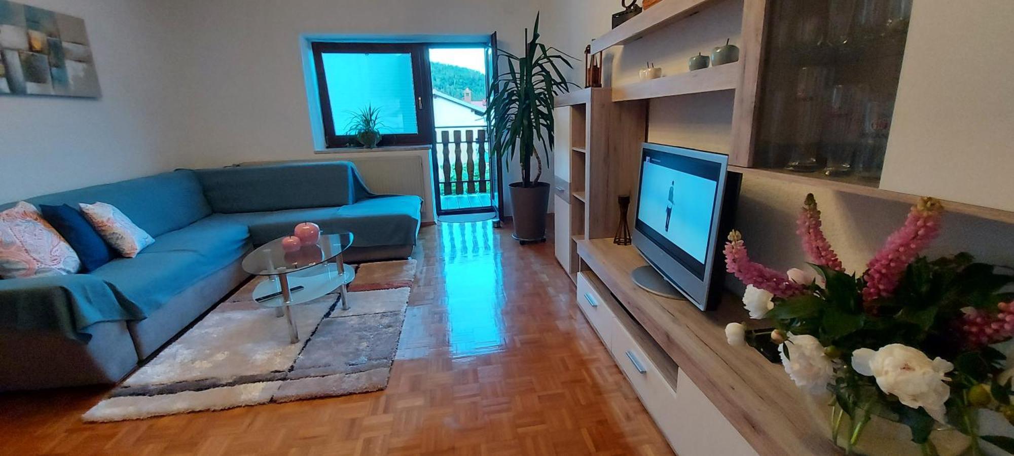 Apartma Pr' Ivani Miskorinovi Breginj エクステリア 写真